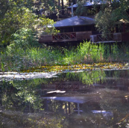 Enjoy a country breakfast in Araluen Restaurant over looking lily covered lake Enjoy a country breakfast in Araluen Restaurant over looking lily covered lake